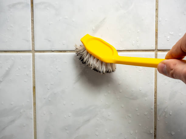 Best Home Mold Removal  in Lambertville, NJ