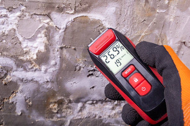 Best Home Mold Removal  in Lambertville, NJ
