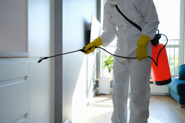 Best Attic Mold Removal  in Lambertville, NJ