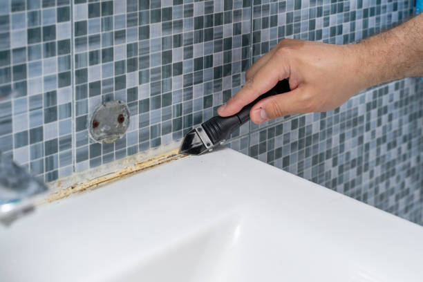 Best Fast Mold Removal  in Lambertville, NJ